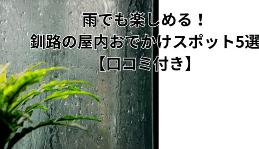 雨でも楽しめる！釧路の屋内おでかけスポット5選【口コミ付き】